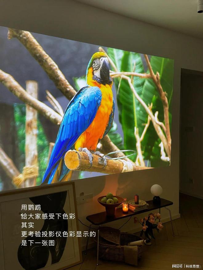 晰度排行榜：当贝F7 Pro稳居榜首pg电子模拟器试玩2025家用投影清(图9)